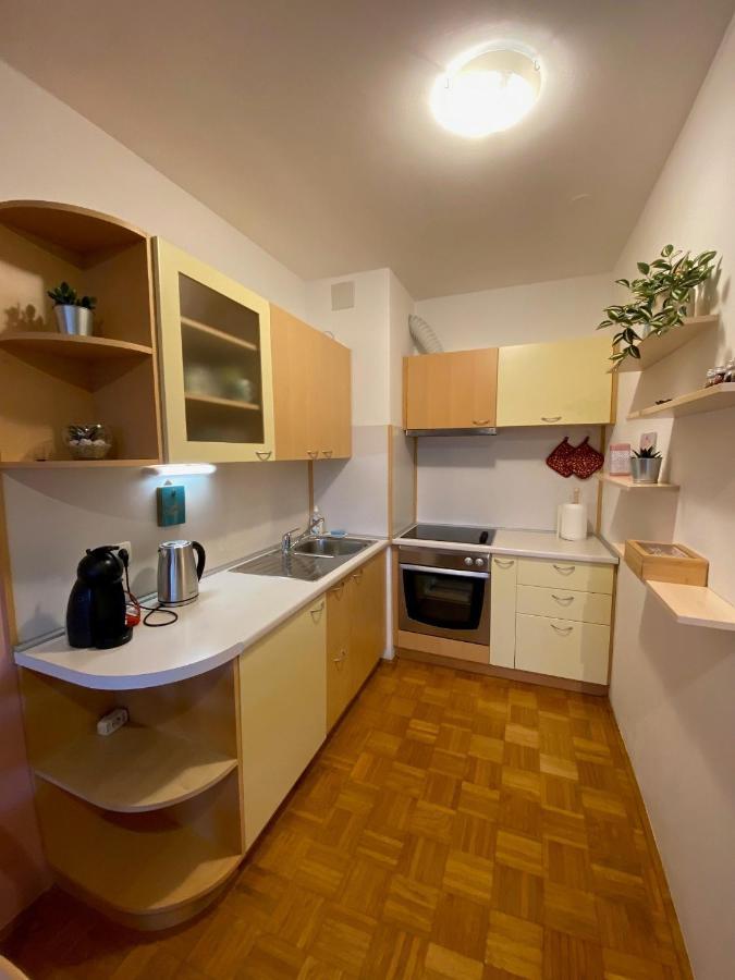 Apartma Felicija Ljubljana Eksteriør billede